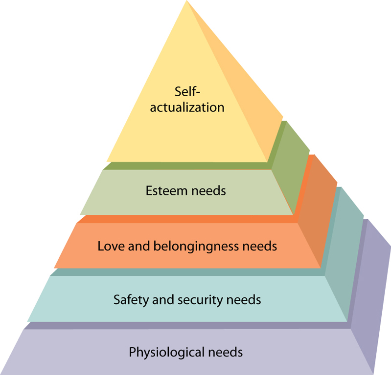 maslow higher archy of needs